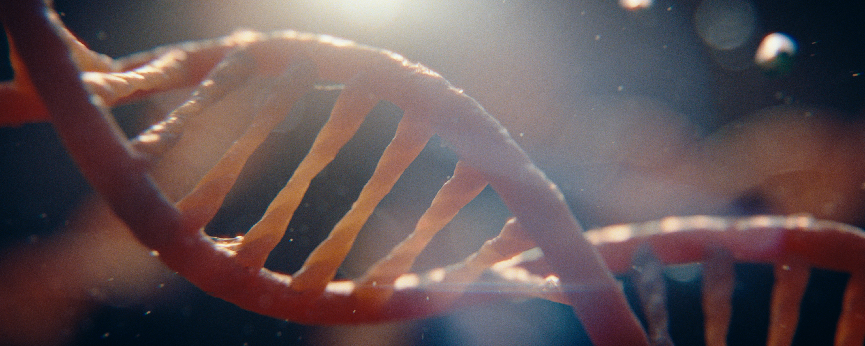 The Story of Everything